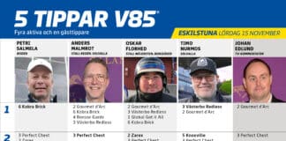 Fem tippar V85 till Eskilstuna 15 november 2025 fem tippar v85 v46 scaled