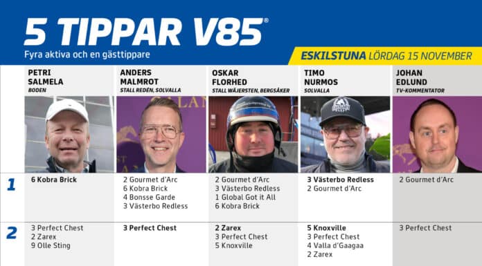 fem tippar v85 v46 scaled