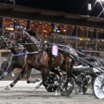 V85 ROMME: Ny seger i Guld för en tapper Global Etalon global etalon mal 1440x926 jpg