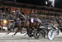 V85 ROMME: Ny seger i Guld för en tapper Global Etalon global etalon mal 1440x926 jpg