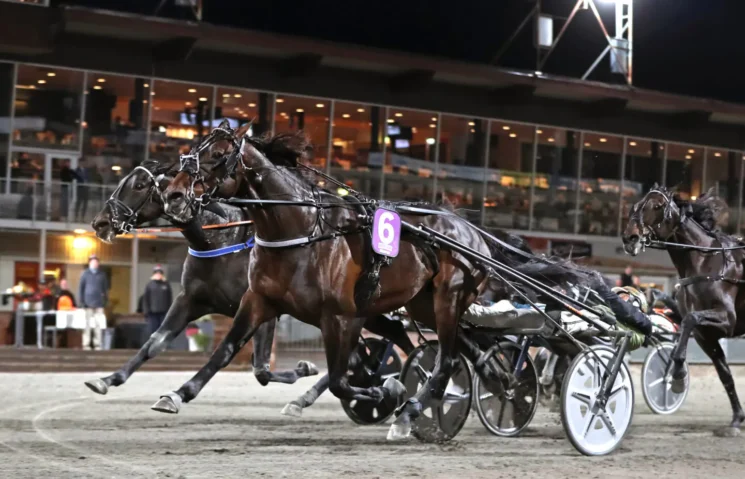 global etalon mal 1440x926 jpg