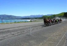 Djuse på efterkälken i kusk-VM kaikoura 084 1440x1080 jpg