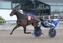 Inför V85 BERGSÅKER: Wäjersten sitter på leken kingen mearas 1440x995 jpg