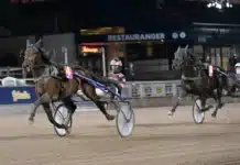 Inför V85 JÄGERSRO: Bra förutsättningar i tvååringarnas viktigaste lopp neutron star mal 1440x872 jpg