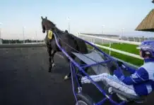 Tre svenska hästar i Prix du Bourbonnais borups victory daniel wajersten 00956 1440x960 jpg