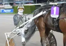 Allsvenska kuskligan: Lång segerdefilering för Jepson carl johan jepson 2 1440x960 jpg