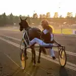 Inför V85 (juldagen): Framtidslöftet spikas på egen risk done deal segerdef 1440x960 jpg