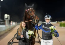 Inför V85 (tisdag): Sagan om Emporio Broline fortsätter – ”Är overkligt” emporio broline pris 1440x1006 jpg