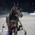 Miljonseger och Pd’A-biljett till Epic Kronos epic kronos efter segern 1440x1017 jpg