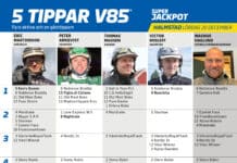 Fem tippar V75 till HALMSTAD 20 december 2025 fem tippar v85 v51 fin scaled