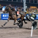 Allsvenska kuskligan: Elva veckosegrar – Jepson har avgjort ken s queen malgang 1440x960 jpg