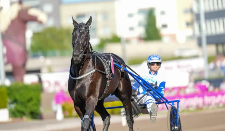 borups victory daniel wajersten 07580 1440x839 jpg