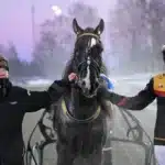 Inför V85 FÄRJESTAD: Westholms segervane kallblod mot en drös norrmän gargamel pris 1440x906 jpg
