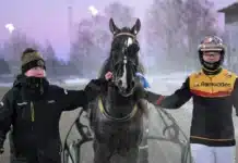 Inför V85 FÄRJESTAD: Westholms segervane kallblod mot en drös norrmän gargamel pris 1440x906 jpg
