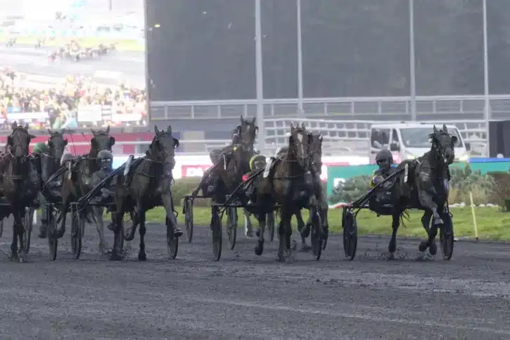 hokkaido jiel vinner prix d amerique 1440x960 jpg