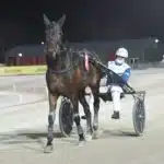 Inför V86: Djuse hyllar sin vinnarhäst – ”Han är en av stallets starkaste hästar” readly winner def 1440x1015 jpg