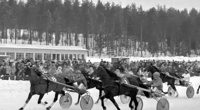 Inför V85 BERGSÅKER: 815 gånger pengarna – exakt 50 år sedan tidernas skräll dennis j r 1440x1094 jpg