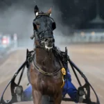 Inför V85 AXEVALLA: Formstall mönstrar heta segerbud indy boy efter segern 720x502 jpg