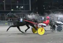 Inför V85 ÅBY: Leverage mot högre höjder leverage mal 1440x911 jpg