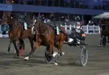 Allsvenska kuskligan: Magnus A Djuse dominerade veckan ogden boko mal 1440x928 jpg