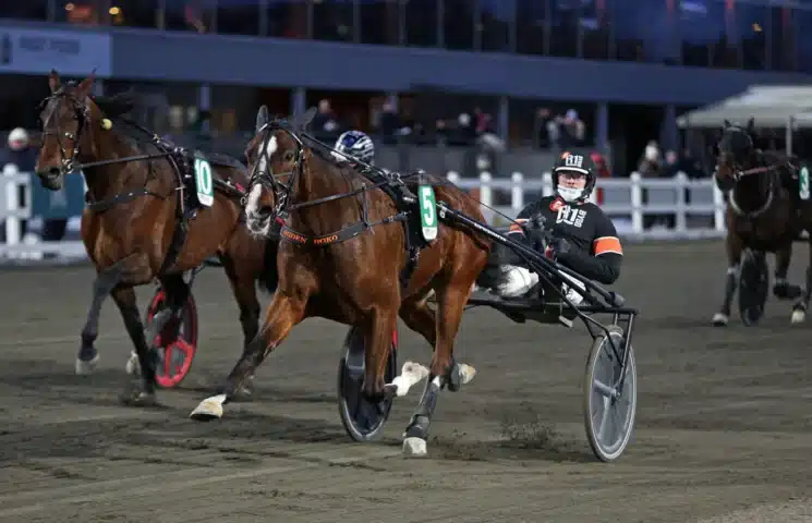 ogden boko mal 1440x928 jpg