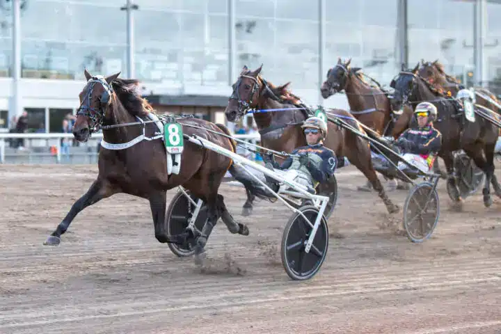 tangerina malgang2 720x480 jpg