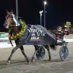 V85 RESULTAT: Miljonutdelning efter dunderskräll i Bergsåker Winter Trot vasterbo tramp segerdef 1440x960 jpg