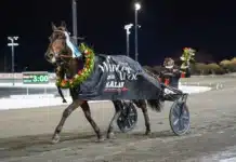 V85 RESULTAT: Miljonutdelning efter dunderskräll i Bergsåker Winter Trot vasterbo tramp segerdef 1440x960 jpg