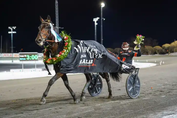 vasterbo tramp segerdef 1440x960 jpg