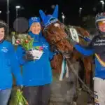 Inför V85 HALMSTAD: Favorit i repris i sikte för bröderna a fair day malgang 1440x960 jpg (1)