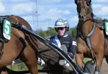 Inför V85 ÅBY: Christoffer etablerad i toppen – heta chanser på lördag christoffer eriksson i sulky 1440x1058 jpg (1)