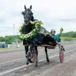 Inför GS75 HALMSTAD: Spännande årsdebut för Untersteiners topphäst dancer brodde segerdefilering 1440x960 jpg