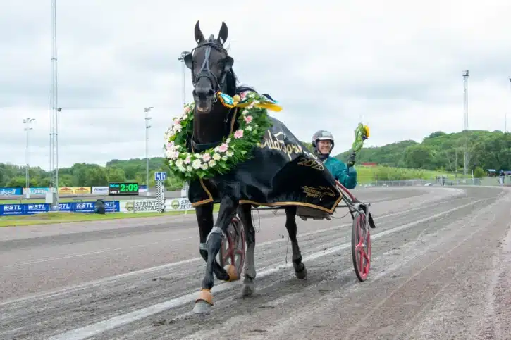 dancer brodde segerdefilering 1440x960 jpg