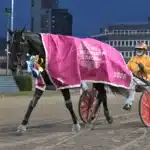V85 Resultat och eftersnack Solvalla 28 mars 2026 diva ek segerdefilerar 1440x1012 jpg