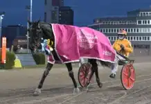 V85 Resultat och eftersnack Solvalla 28 mars 2026 diva ek segerdefilerar 1440x1012 jpg