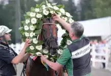 Westholm hoppas på fler kapitel i sagan dream mine far lagerkrans 1440x993 jpg