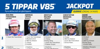 Fem tippar V85 till BJERKE 14 mars 2026 fem tippar v85 v11 scaled