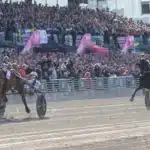 Franska favoriter inför Elitloppet go on boy och romain derieux mal 1440x884 jpg