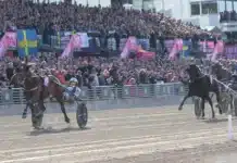 Franska favoriter inför Elitloppet go on boy och romain derieux mal 1440x884 jpg
