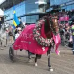 Regerande mästaren Go on Boy klar för Elitloppet go on boy segerdefilering 1440x975 jpg (1)