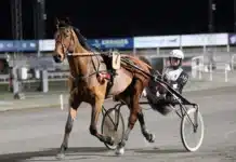 Positivt A-prov för Jeu Set Et Match jeu set et match segerdef 1440x1072 jpg