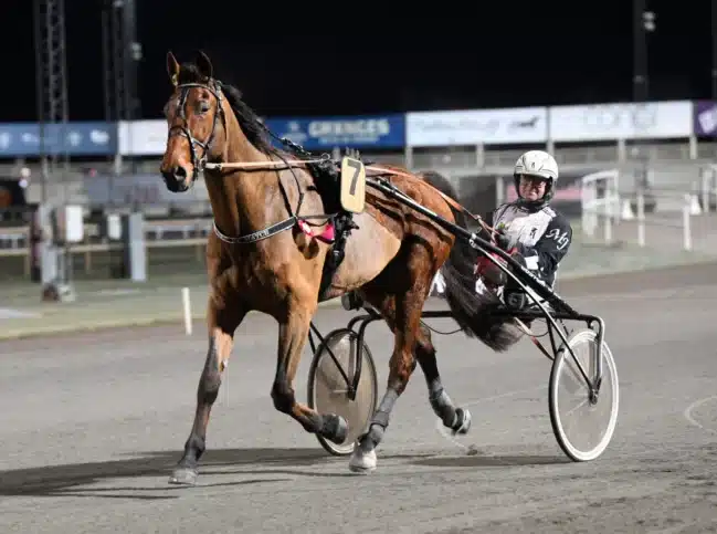 jeu set et match segerdef 1440x1072 jpg