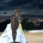 Jobspost en joker i Elitloppet – fick den tredje biljetten jobspost efter segern 1440x960 jpg (1)