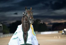 Jobspost en joker i Elitloppet – fick den tredje biljetten jobspost efter segern 1440x960 jpg (1)