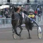 Jan-Olov Perssons stjärna närmar sig årsdebut majblomster 1440x1029 jpg