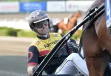 Allsvenska kuskligan: Toppvecka för Mats E Djuse mats e djuse i sulky 1440x953 jpg