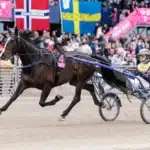 Inför V85 SOLVALLA: På lördag startar jakten på elitloppsplatserna mellby jinx varmning 2 1440x960 jpg