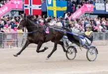 Inför V85 SOLVALLA: På lördag startar jakten på elitloppsplatserna mellby jinx varmning 2 1440x960 jpg