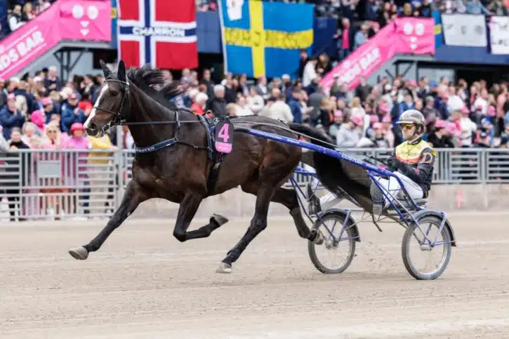 mellby jinx varmning 2 1440x960 jpg