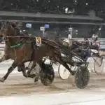 Inför V86: ”Måste vara en toppchans” wellerman mal 1440x938 jpg